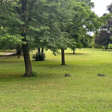 Thermal Valley Apartman - Batthyany Villapark Zalacsány المظهر الخارجي الصورة